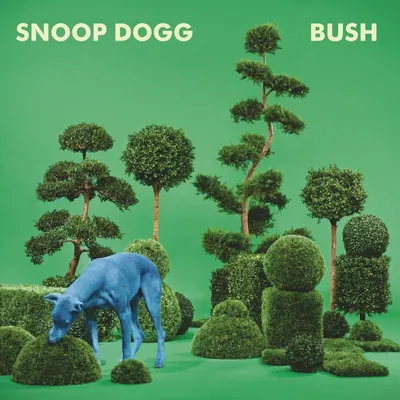 Produktbild von Snoop Dogg-Bush