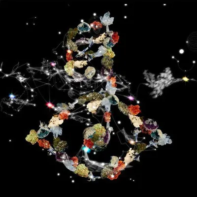 Image de Biophilia [Vinyl Single]