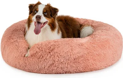 A dog lying in a round, fluffy dog bed.