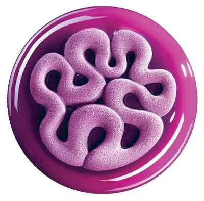 Imagen del producto de Solidchoice - Molde de silicona para gelatina, diámetro de 13,5 cm