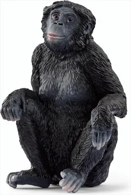 Immagine prodotto di Schleich Wild Life 14875 Bonobo femmina