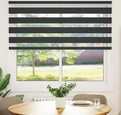 Produktbild von "2026 Promotion" Doppelrollo - Außenrollo - Schwarz 155x100 cm Stoffbreite 150,9 cm Polyester - Rollos CC24325