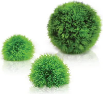 Obrázek produktu pro biOrb Aquatic topiary ball set 3 green