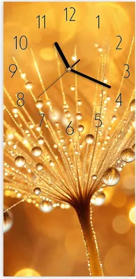 Produktbild von Wanduhr aus Glas mit Motiv Löwenzahn Tropfen- 30 x 60 cm - inkl. Aufhängesystem