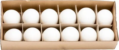 Produktbild von Hühnereier Weiß, im Karton mit 12 Stück, ausgeblasen und gereinigt