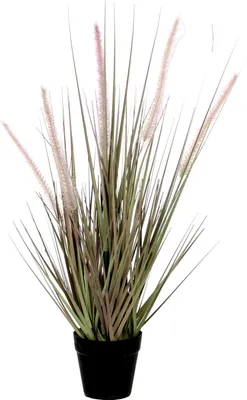 Produktbild von Mica Decorations Dogtail Gras Kunstpflanze - H53 x Ø30 cm - Violett