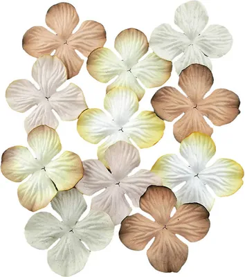Produktbild von HORTENSIONEN Papierblumen, natürlicher Mix 25mm - 100 Stück
