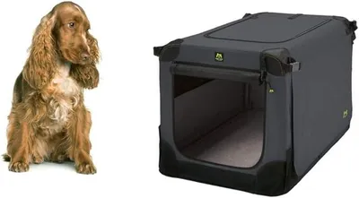 Imagen del producto de Silecomplaza - Jaula para perros, color antracita, 72 x 51 x 51 cm