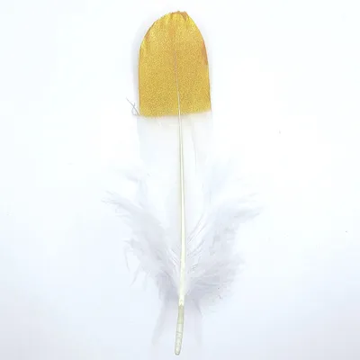 Produktbild von Federn Gänsefedern, ca. 15-20 cm, 10 Stück, Weiß goldfarben