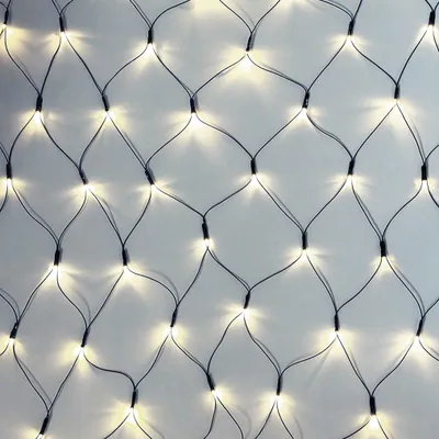 A close-up view of a net light string with multiple small white LED lights.