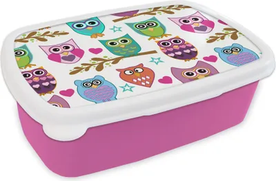 Produktbild von KitchenYeah® Lunchbox Brotzeit Brotdose 17x11 cm Design - Eulen - Tiere Kinder Brotzeitdose - Lunchpaket - Brotkasten  - Sandwich Box