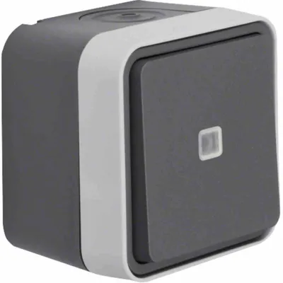 Immagine prodotto di Berker 31763505 Commutatore di comando IP55 da superficie grigio/grigio chiaro opaco W.1 con lente