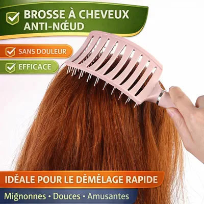 Image de Brosse à Cheveux Anti-Nœud
