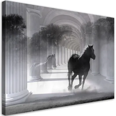 Produktbild von Leinwandbild Rennendes Pferd 3D 60x40 Feeby Schwarz bild für die wand bereit zum aufhängen