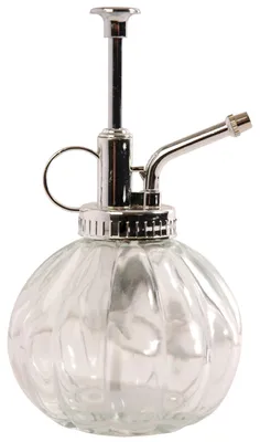 Pflanzensprüher-transparent-klar-Glas