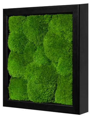 Produktbild von Moosbild Ball Design (25x25, schwarz)