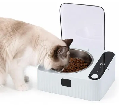 Produktbild von Intelligenter Katzennapf, automatischer Sensor Futternapf mit Deckel, 304 Edelstahl, 350ml, 2000mAh, 7,5° geneigt, Type-C