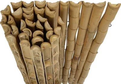 Zdjęcie produktu dla Naturalna półokrągła rolka bambusowa Moso 180 x 150 cm (ogrodzenie bambusowe)
