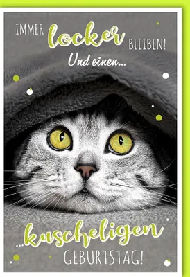 Produktbild von Geburtstag - Glückwunschkarte im Format 11,5 x 17 cm mit Umschlag - Im