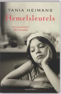 Immagine prodotto di Hemelsleutels