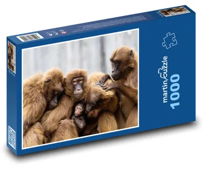 Obrázek produktu pro martinpuzzle - Puzzle 1000 - Opice - rodina, primáti