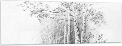 Produktbild von Bilder auf glas - Einteilig - Skizze Wald Birke - 160x50cm - Glasbilder - Wandbilder - Bilder - zum Aufhängen bereit - Wanddekoration aus Glas - Glas Bilder - Wandbild auf Glas - GAB160x50-4280