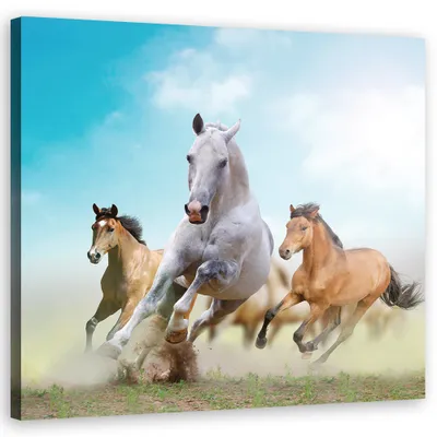 Produktbild von Leinwandbild Pferdeherde für das Wohnzimmer 50x50 Feeby Blau bild für die wand bereit zum aufhängen