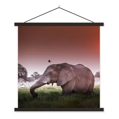 Produktbild von MuchoWow® Textilposter Elefant - Gras - Sonne - Tiere 120x120 cm mit schwarzem Rahmen - Aufhängungsset