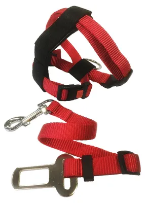 Image de Harnais et ceinture de sécurité pour chat