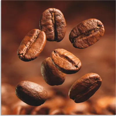 Produktbild von ARTland Wandbild Alu für Innen & Outdoor Nahaufnahme von Kaffeebohnen Größe: 50x50 cm