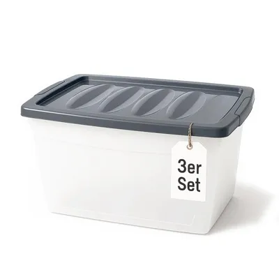 Produktbild von BigDean 3x 60 L Aufbewahrungsbox mit Deckel groß Budget Line Plastikbox mit Deckel