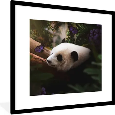 Produktbild von MuchoWow® MuchoWow® Gerahmtes Poster Tiere - Dschungel - Panda 40x40 cm - Poster mit zchwarzem Bilderrahmen - Poster - Plakat im Rahmen