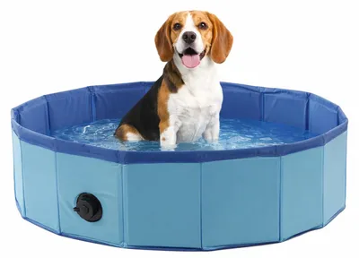 Produktbild von hundepool - runder hundepool blau 80x20 cm - robuster Kunststoff - faltbar - ohn