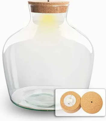 Produktbild von Flaschengarten Terrarienflasche Fat Joe geschlossenes Terrarium mit Korkdeckel