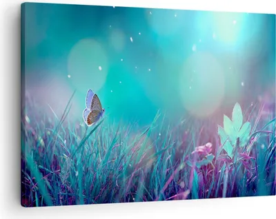 Produktbild von Bild auf Leinwand - Leinwandbild - Schmetterling Wiese Blume - 70x50cm - Wand Bild - Wanddeko - Leinwanddruck - Bilder - Kunstdruck - Wanddekoration - Leinwand bilder - Wandkunst - AA70x50-4077