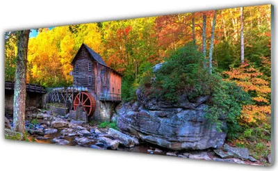 Produktbild von Acrylglasbilder 125x50 Wandbild Druck Wald Steine Natur