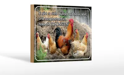 Produktbild von Holzschild Spruch 18x12cm es gibt so viele Hühner und