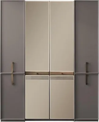 Image de Armoire à vêtements Armoire de chambre à coucher Armoire en bois Gris Miroir