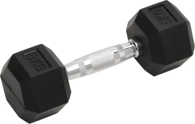 Obrázek produktu pro vidaXL Činky 2 ks 10 kg celkem litina