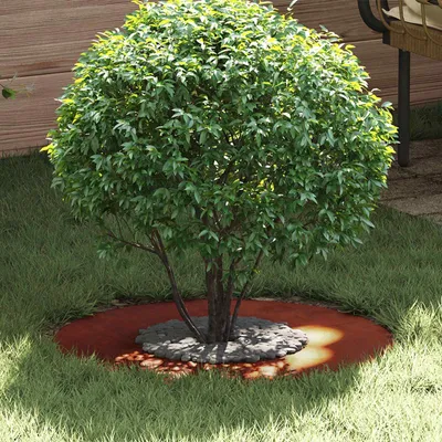 Produktbild von vidaXL geeignet für flachen Baumring Braun Ø30 / 60 cm Wetterfeststahl