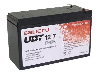Obrázek produktu pro SALICRU UBT 12/7 - USV-Akku - 1 x Bleisäure 7