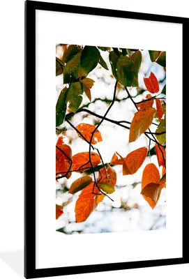 Produktbild von MuchoWow® Gerahmtes Poster Herbst - Blätter - Landleben - Jahreszeiten 60x90 cm - Poster mit Schwarzem Bilderrahmen Wandposter Rahmen Foto Bilder - Dekoration - Wandposter Wohnzimmer - Hochwertig