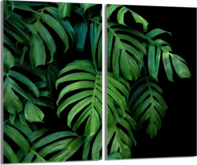 Immagine prodotto di Piastre copriforno 2 pezzi 30x52 Vetro copriforno in Vetroceramica, verde fogliame
