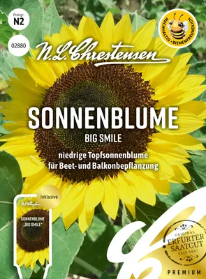 Artikelbild 1 von 'Sonnenblume Big Smile' aus der Kategorie Sonnenblumensamen
