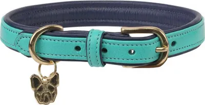 Immagine prodotto di Digby & Fox - Collare per cani, in pelle, imbottito ER2092 (M - Collo: 41 cm-46 cm) (Aquablau)