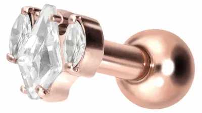 Produktbild von Ohrpiercing Titan Ohrpiercing mit Innengewinde KRISTALLSCHILD + KRISTALLOVALE RoséGold Stablänge: 6mm