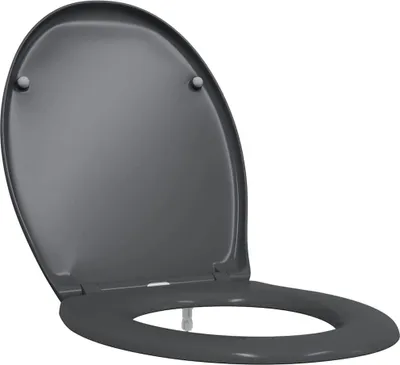 Immagine prodotto di vidaXL Sedile per WC antracite 47 x 37 x 4 cm Duroplast