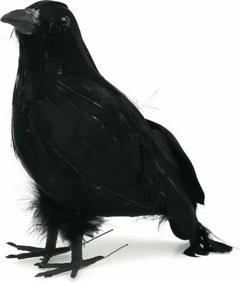 Immagine prodotto di Decorazione di Halloween uccello nero