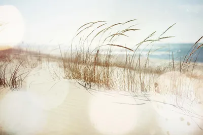 Produktbild von Acrylglasbild, Größe :120x80 cm, Farbe:Dünen