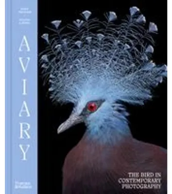 Produktbild von Aviary